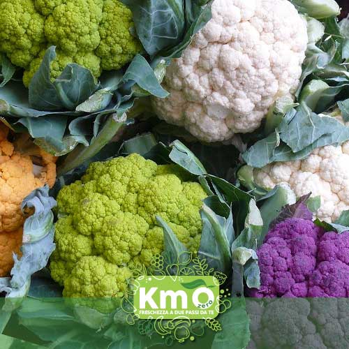 Cavolfiore