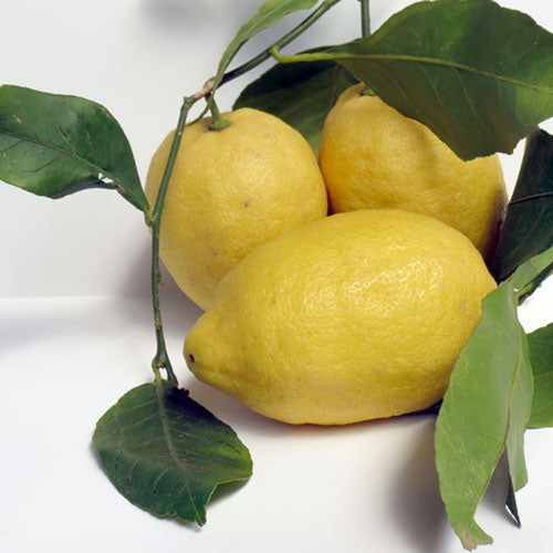 Limoni