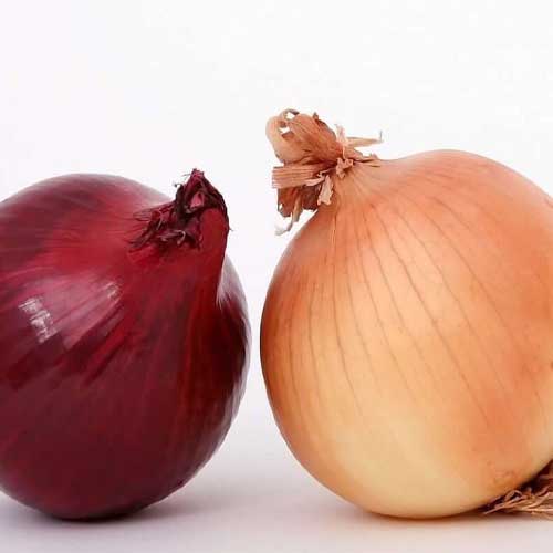 cipolle bianche, cipolle rosse